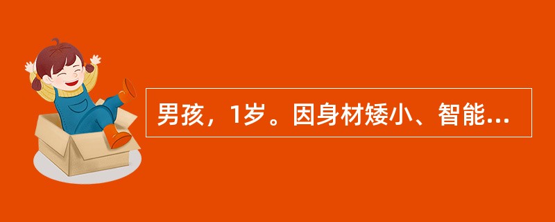 男孩，1岁。因身材矮小、智能发育迟缓就诊。查体：身长63cm，表情呆滞，四肢肌张力低下，眼距宽，鼻梁低平，眼外眦上斜，四肢短，手指短，小指内弯。对明确诊断最有意义的检查是（　　）。