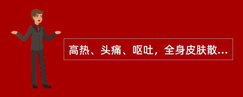 高热、头痛、呕吐，全身皮肤散在瘀点，颈项强直，最可能的诊断是（　　）。