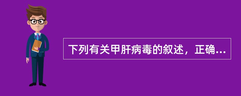 下列有关甲肝病毒的叙述，正确的是