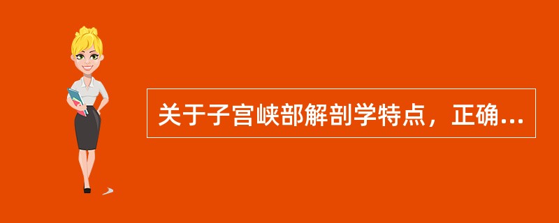 关于子宫峡部解剖学特点，正确的是（　　）。