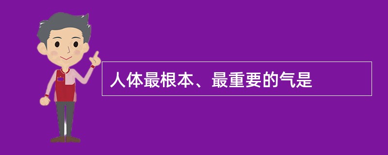 人体最根本、最重要的气是