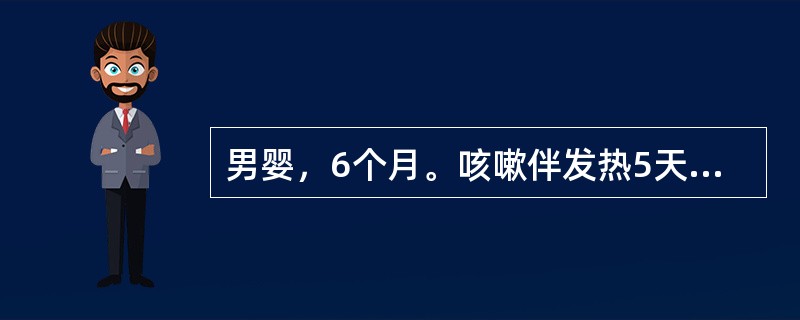 男婴，6个月。咳嗽伴发热5天，加重2天。查体：T38.5℃，P160次/分，R54次/分，热病容，喘憋、烦躁不安，可见三凹征，双肺呼吸喘鸣音为主，可闻及少量细湿性啰音，腹软，肝肋下2.5cm。最可能的