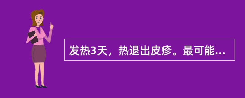 发热3天，热退出皮疹。最可能的诊断是（　　）。