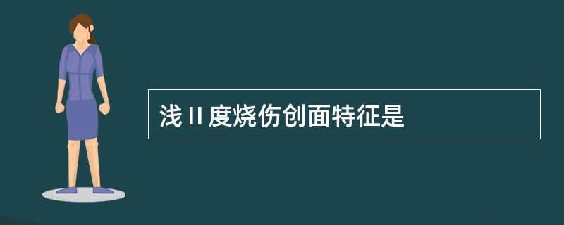 浅Ⅱ度烧伤创面特征是