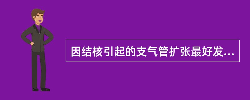 因结核引起的支气管扩张最好发的部位是