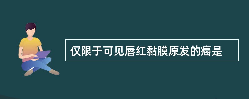 仅限于可见唇红黏膜原发的癌是