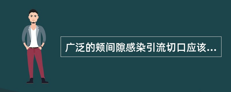 广泛的颊间隙感染引流切口应该在下颌骨下缘