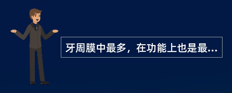 牙周膜中最多，在功能上也是最主要的细胞是