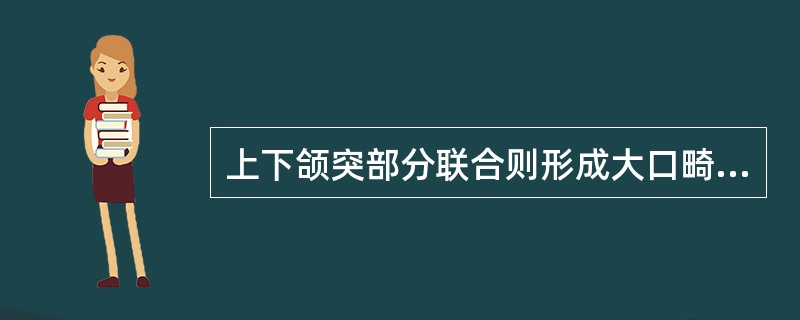 上下颌突部分联合则形成大口畸形，属于