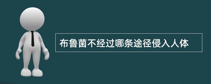 布鲁菌不经过哪条途径侵入人体