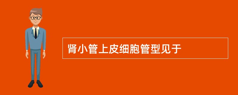肾小管上皮细胞管型见于