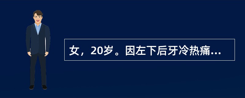 女，20岁。因左下后牙冷热痛而就诊，无自发痛。检查发现<img border="0" style="width: 16px; height: 23px;"