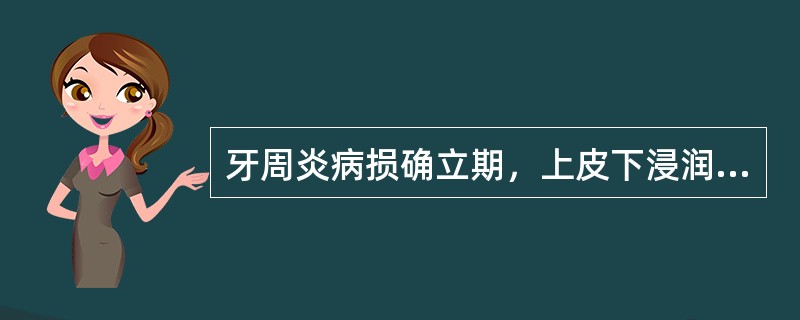 牙周炎病损确立期，上皮下浸润的细胞主要为（　　）。