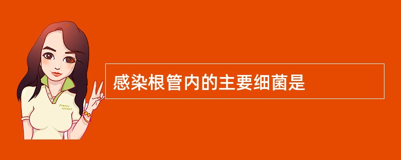 感染根管内的主要细菌是