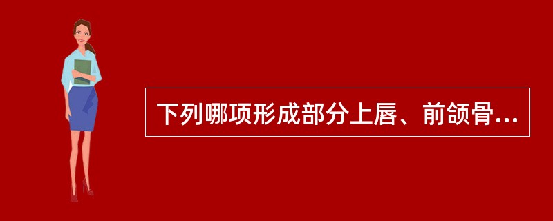 下列哪项形成部分上唇、前颌骨及上颌切牙