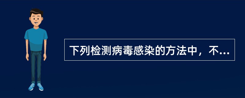 下列检测病毒感染的方法中，不是检查病毒抗体的试验方法是（　　）。