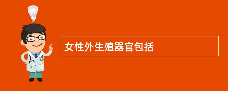 女性外生殖器官包括