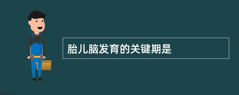 胎儿脑发育的关键期是