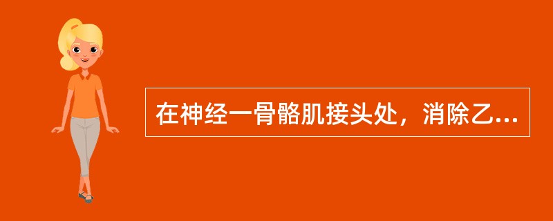 在神经一骨骼肌接头处，消除乙酰胆碱的酶是（　　）。