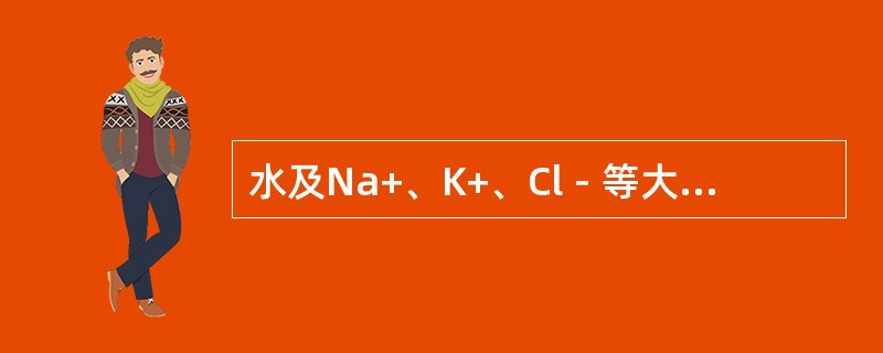 水及Na+、K+、Cl－等大部重吸收的部位在（　　）。