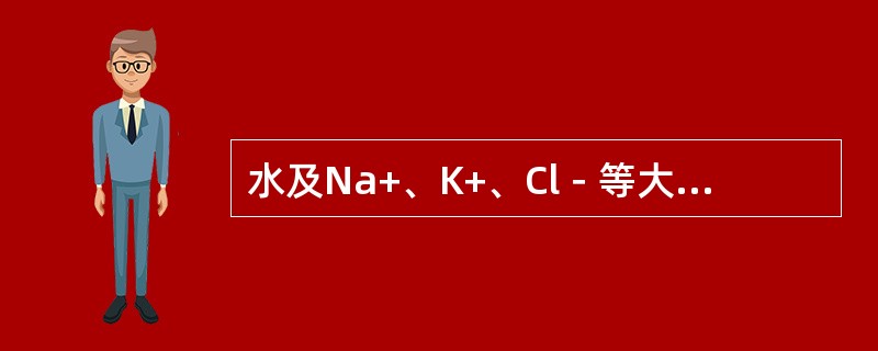 水及Na+、K+、Cl－等大部重吸收的部位在（　　）。