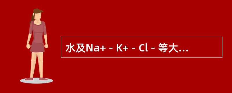 水及Na+－K+－Cl－等大部重吸收的部位在（　　）。