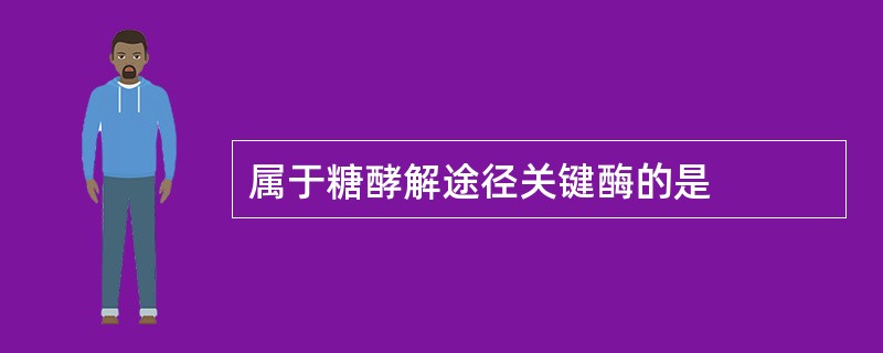 属于糖酵解途径关键酶的是