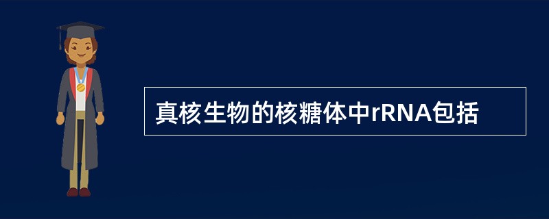 真核生物的核糖体中rRNA包括