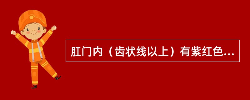 肛门内（齿状线以上）有紫红色包块，表面为黏膜者称