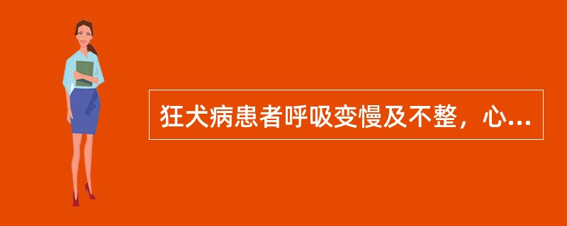 狂犬病患者呼吸变慢及不整，心搏微弱，神志不清，此期持续时间为