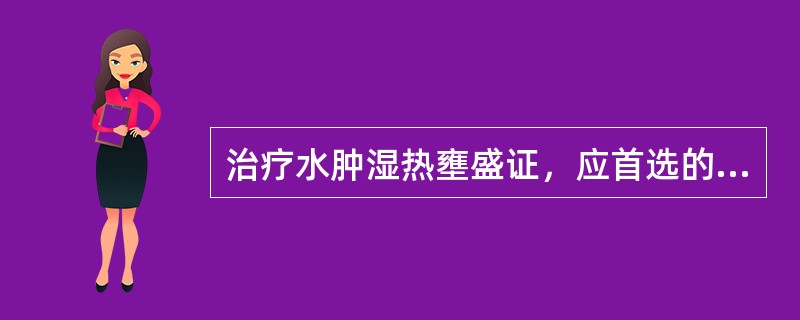 治疗水肿湿热壅盛证，应首选的方剂是（　　）。