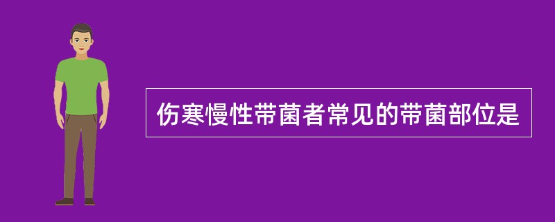 伤寒慢性带菌者常见的带菌部位是