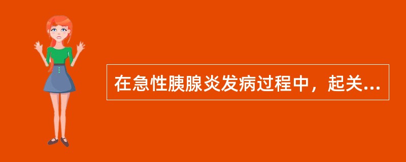 在急性胰腺炎发病过程中，起关键作用的酶是