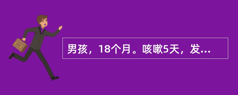男孩，18个月。咳嗽5天，发热，气喘1天，查体：38℃，咽赤（+），呼吸急促，唇轻度发绀，诊断为急性支气管肺炎，对于诊断有利的体征是