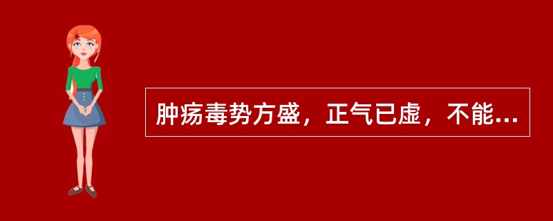 肿疡毒势方盛，正气已虚，不能托毒外出者，内治方药宜选用