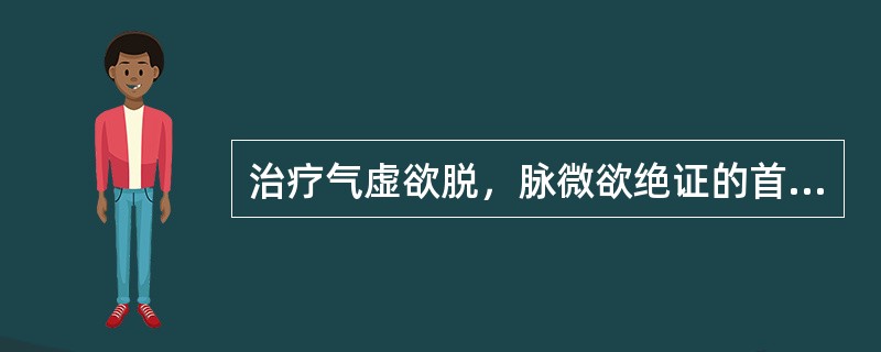 治疗气虚欲脱，脉微欲绝证的首选药物是