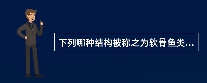 下列哪种结构被称之为软骨鱼类的辅助性心脏？（　　）