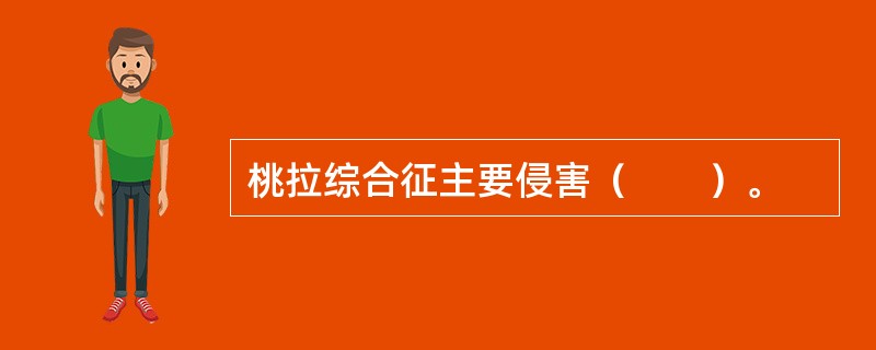 桃拉综合征主要侵害（　　）。