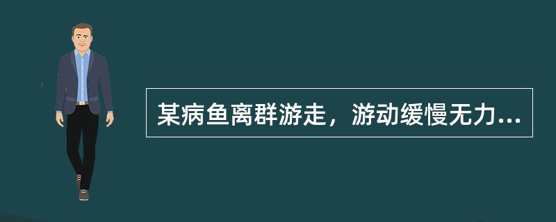 某病鱼离群游走，游动缓慢无力，身体失衡，鱼体前部鳞片竖立，向外张开呈球状，鳞片基部的鳞囊水肿，内部积聚着半透明的渗出液，由此可推断为（　　）。