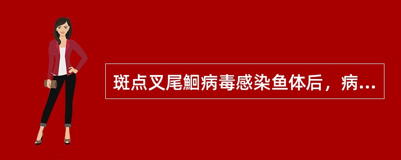 斑点叉尾鮰病毒感染鱼体后，病毒集中的主要部位是（　　）。