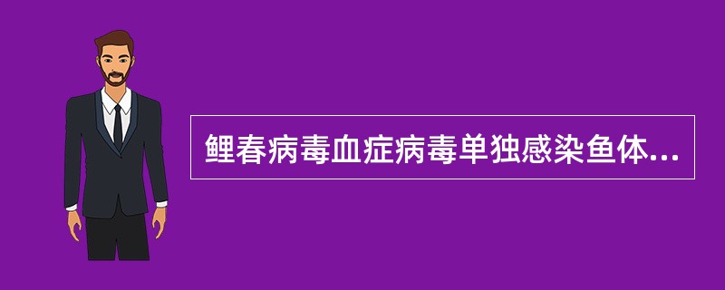 鲤春病毒血症病毒单独感染鱼体后不会出现以下哪种病理特征？（　　）