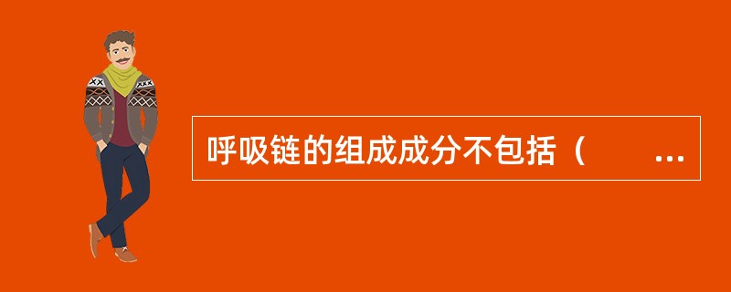 呼吸链的组成成分不包括（　　）。
