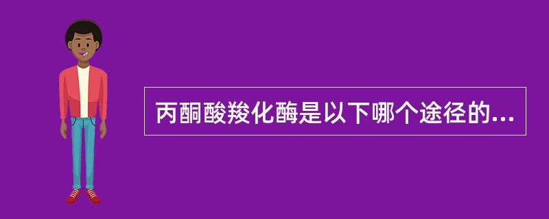 丙酮酸羧化酶是以下哪个途径的关键酶？（　　）