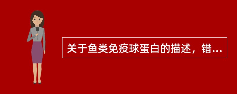 关于鱼类免疫球蛋白的描述，错误的是（　　）。