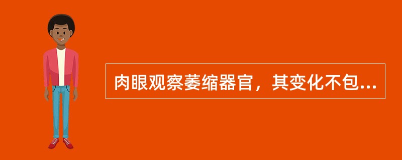 肉眼观察萎缩器官，其变化不包括（　　）。