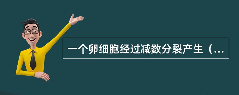 一个卵细胞经过减数分裂产生（　　）。