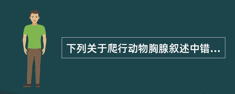 下列关于爬行动物胸腺叙述中错误的是（　　）