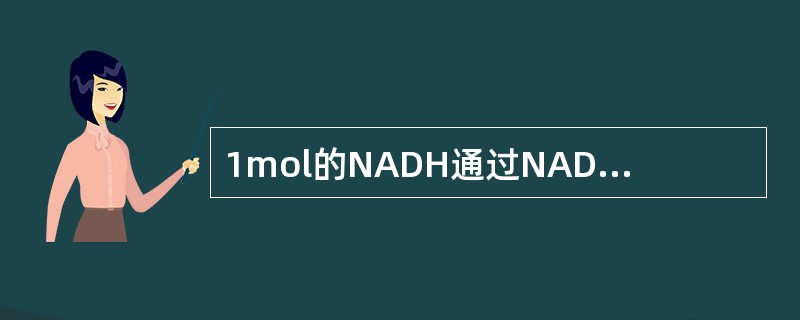 1mol的NADH通过NADH呼吸链，最终与氧化合生成水，产生的ATP数量为（　　）。