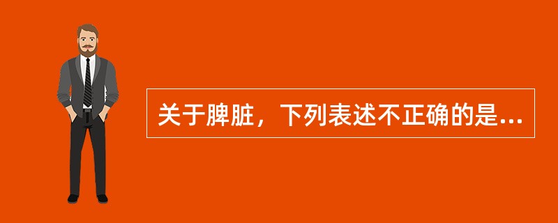 关于脾脏，下列表述不正确的是（　　）。