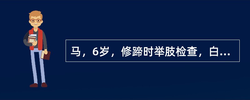 马，6岁，修蹄时举肢检查，白线部凹陷，内充满粪、土和泥沙，未见跛行。根据临床表现，所患蹄病是（　　）。